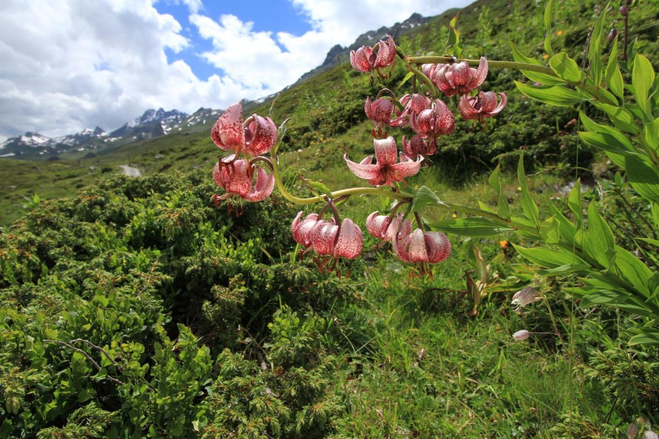 Apart Montis See Zewnętrze zdjęcie